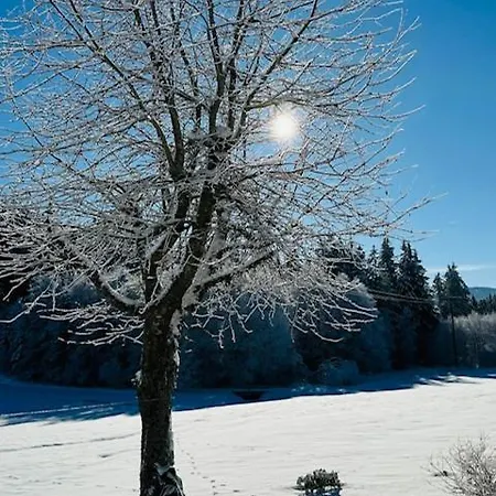 Appartement Am Baechle